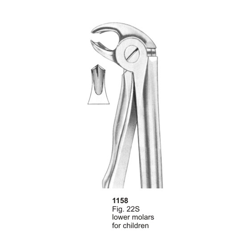 Fig 22S Lower Molars For Children With Fitting Handle Dental Extraction Forcep