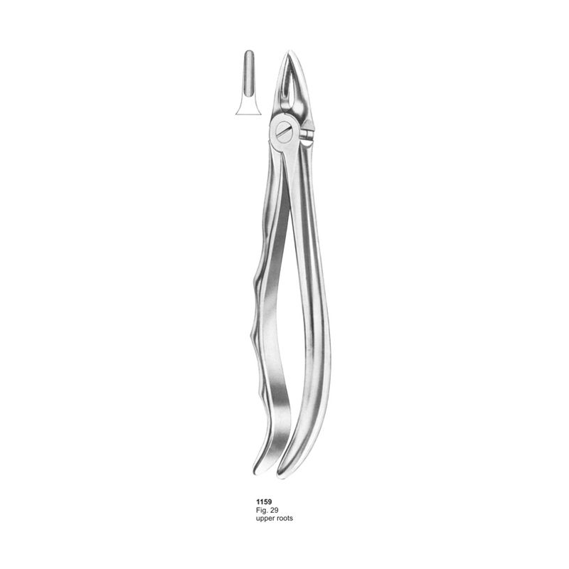 Fig 29 Upper Root With Fitting Handle Dental Extracting Forcep