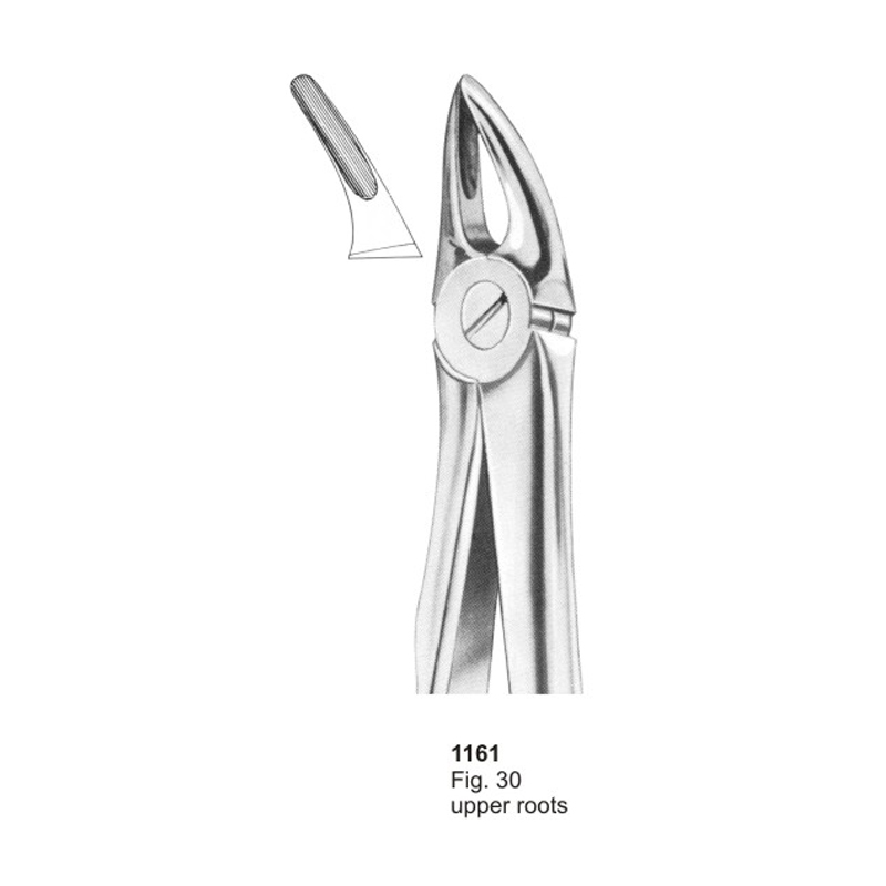 Fig 30 Upper Roots With Fitting Handle Dental Extraction Forceps