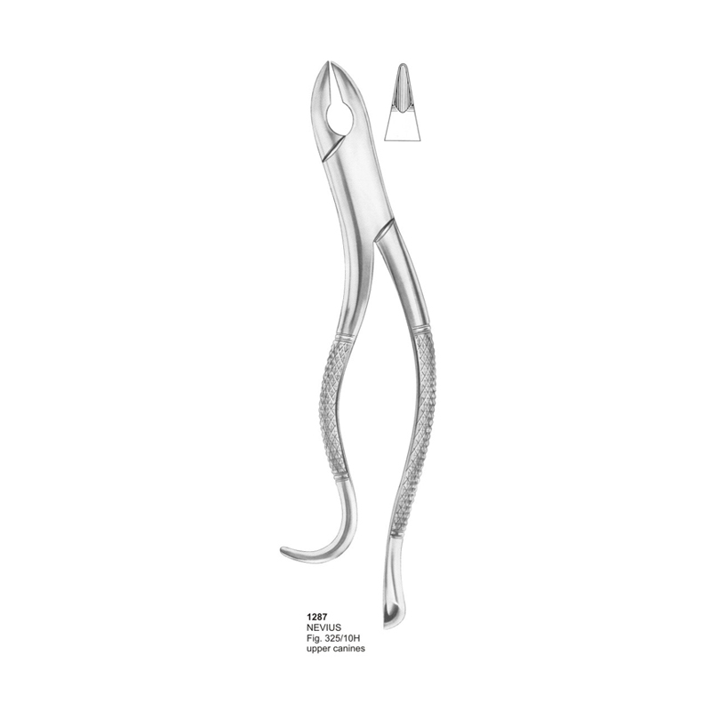 NEVIUS Fig 325/10H Upper Canines Dental Extracting Forcep